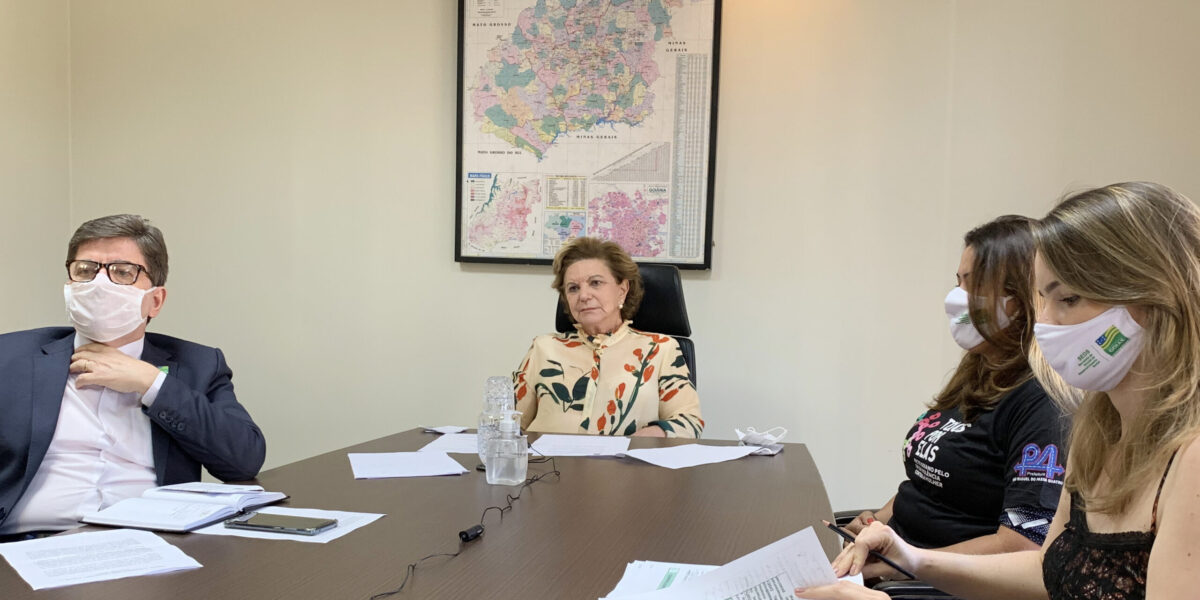 Regularização e inclusão de imigrantes são tema de webnário promovido pelo governo de Goiás