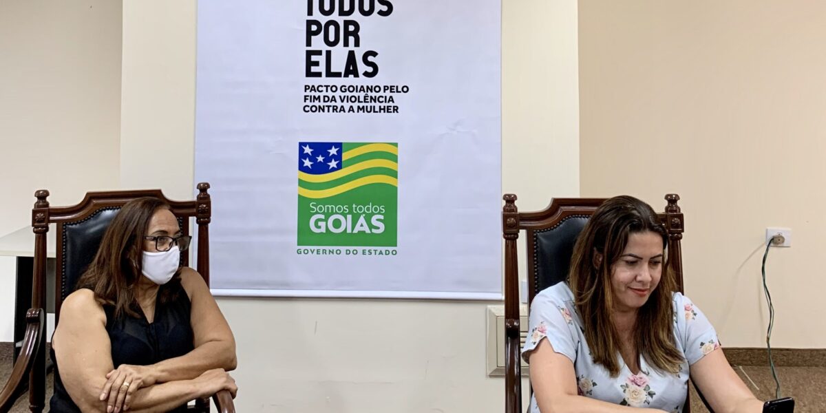 Governo de Goiás dá início a capacitação de servidores envolvidos na Rede de Enfrentamento à Violência Doméstica e Familiar no municípios