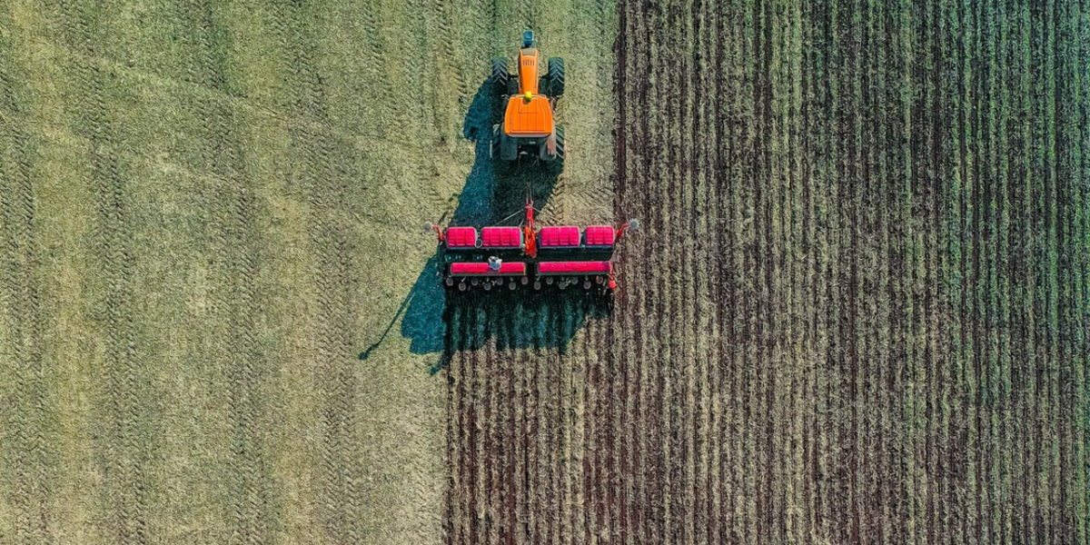 Agronegócio representou 85% do valor das exportações goianas em julho