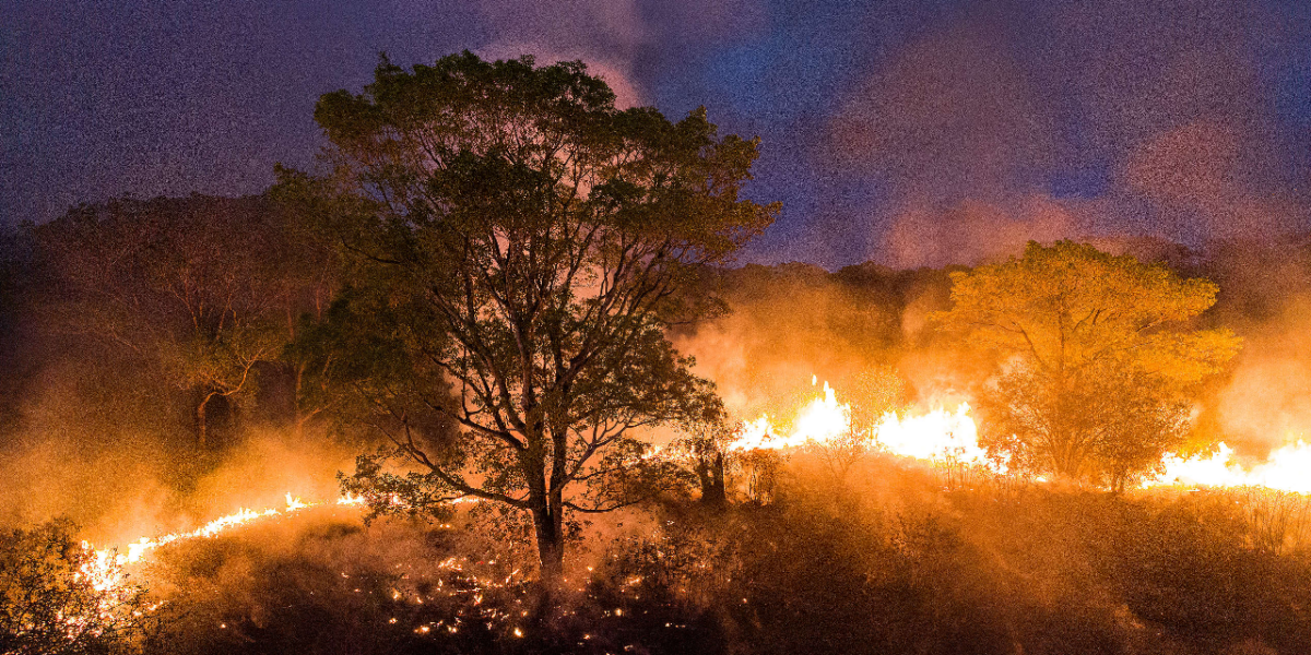 Período seco mais longo e intenso favorece aumento do número de focos de incêndio