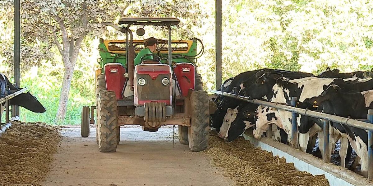 Produção agropecuária de Goiás deve render R$ 108 bilhões neste ano