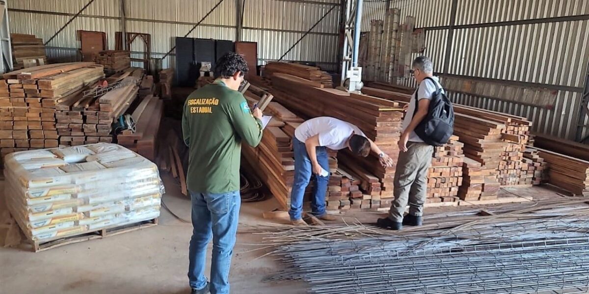 Semad aplica quase R$ 2 milhões em multas por comércio ilegal de madeira
