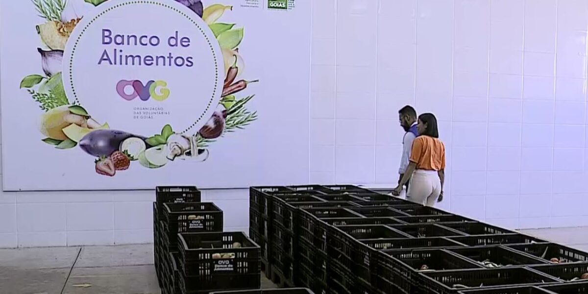 OVG distribui 100 mil quilos de alimentos por mês do Ceasa
